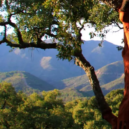 Hotel Oakhill Penthouse Marbella